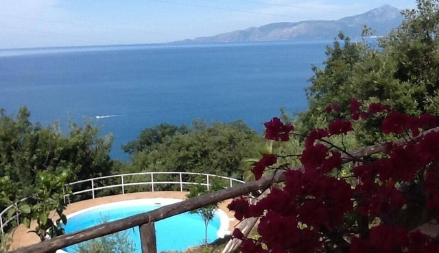Small villa located in a quiet pool and sea view/Gulf of Policastro