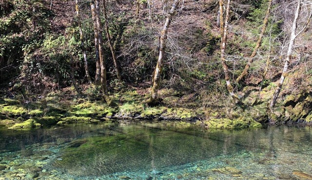 Smith River Off-Grid Retreat