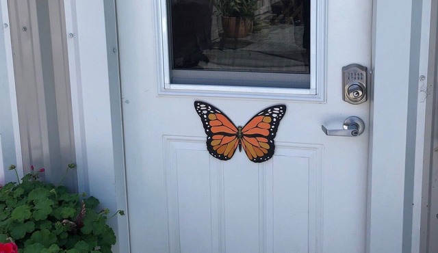 Spacious Studio located in a quiet garden setting that invites Butterflies