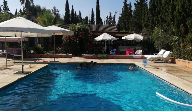 Spacious villa, private pool in huge grounds, orange trees, outskirts of Sevilla