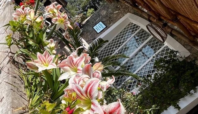 🇮🇹 Starfish-House 🇮🇹 🍋Your house in Amalfi coast 🍋🌶️🍦👨‍🍳🦑🌊🍝🍕⛵️⛱🪂🍊🍉