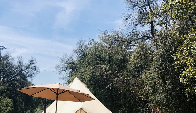 Stargazer Bell Tent
