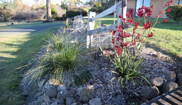 Summit Accommodation in rural peace10 mins from Launceston in Devon Hills