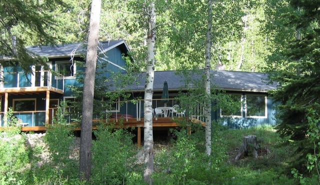 Tahoe Xmas Valley Cabin