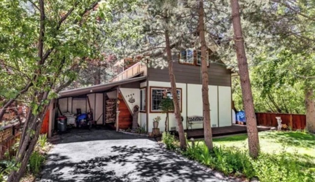"The Bearadise" Fun Cozy Centrally Located Cabin