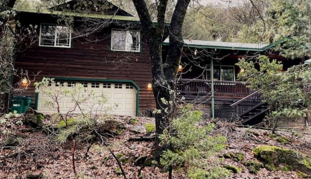 Twain Harte, Sugar Bear Cabin near snow parks and Dodge Ridge. Cozy Cabin