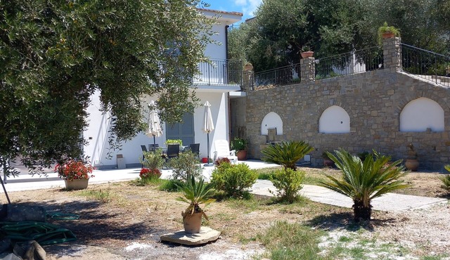 Villa between olive groves and the sea