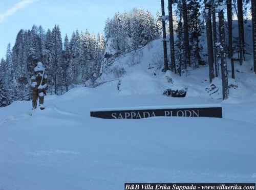Villa Erika in Sappada