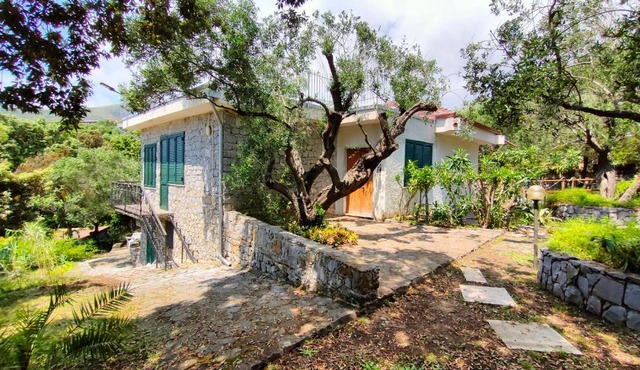 Villa Irma