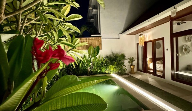 Villa Licia - Seseh area