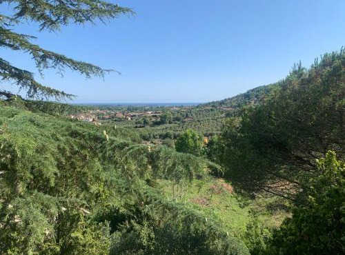Villa Panorama