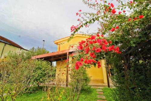 Villa Sofia in Botricello