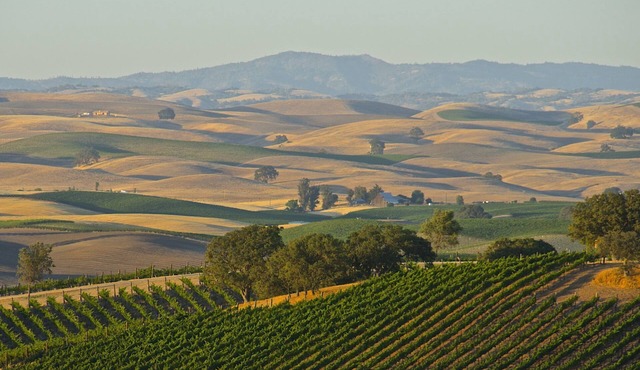 Wine Country Villa - 9 bedroom, 4 bath, Sleeps 25+