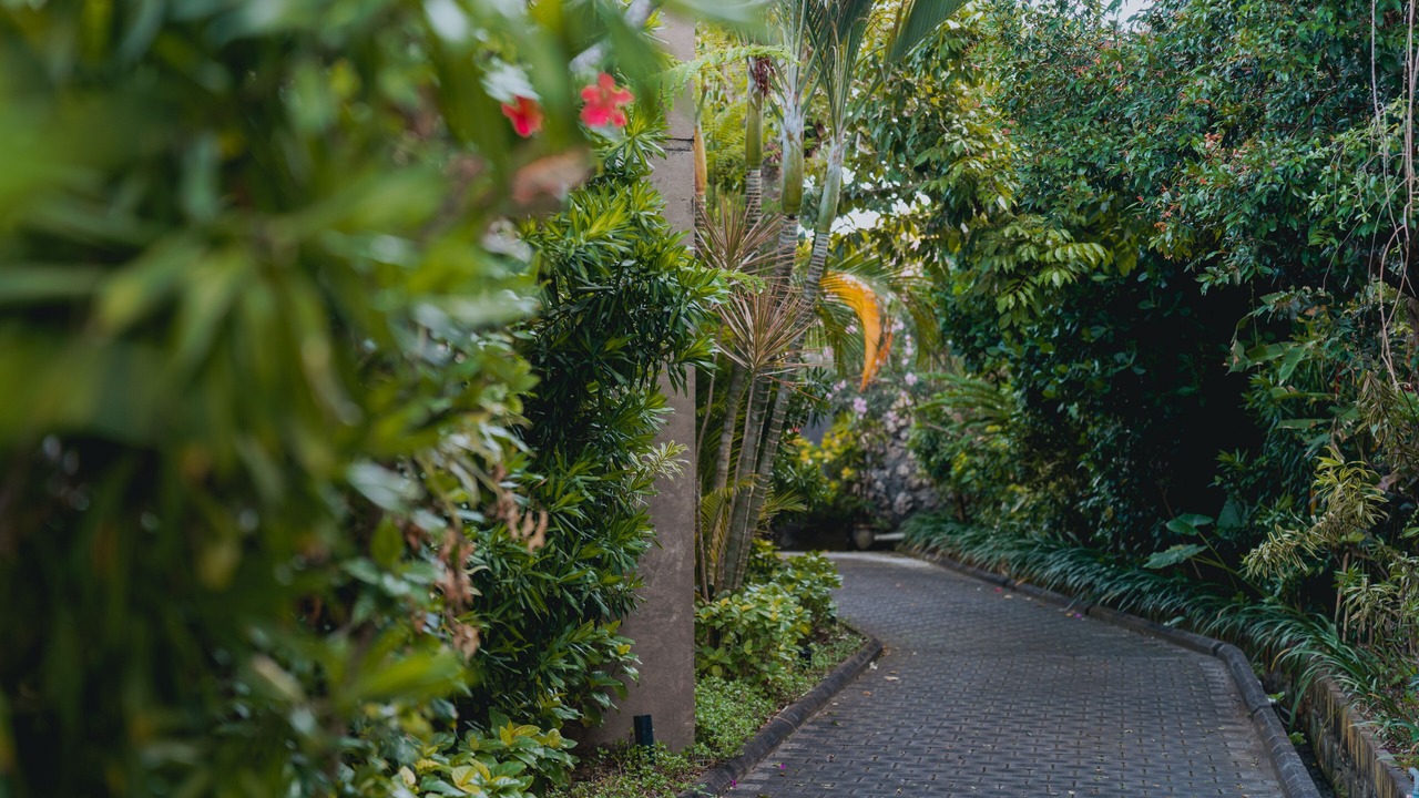 Photo of Outdoor in Sawangan