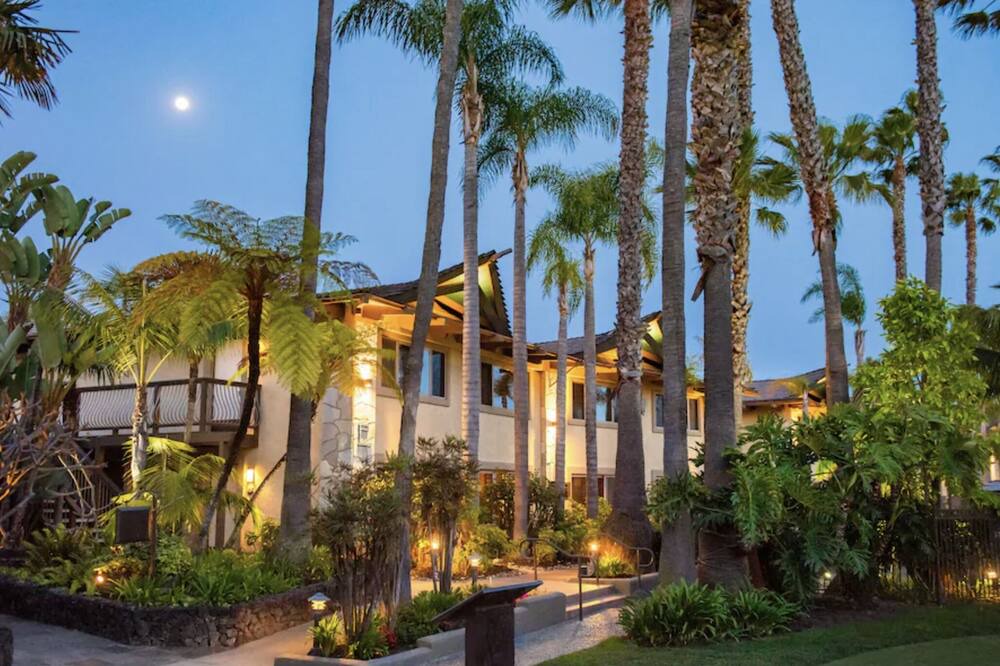 Photo of Outdoor in La Playa