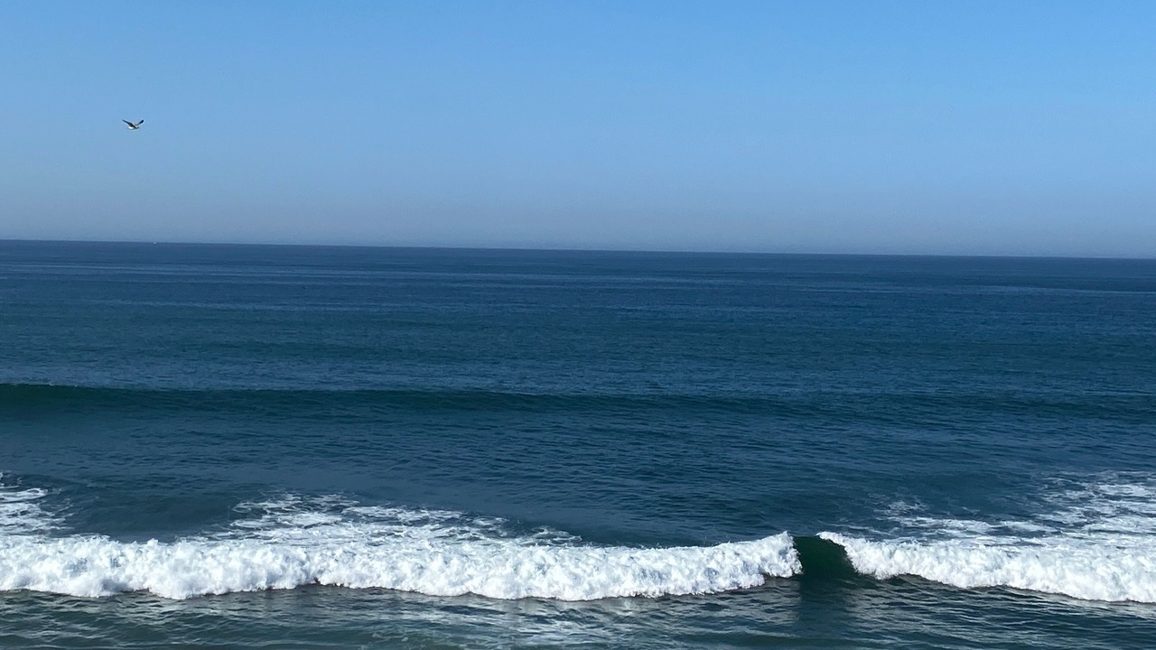 Photo of Others in Carlsbad