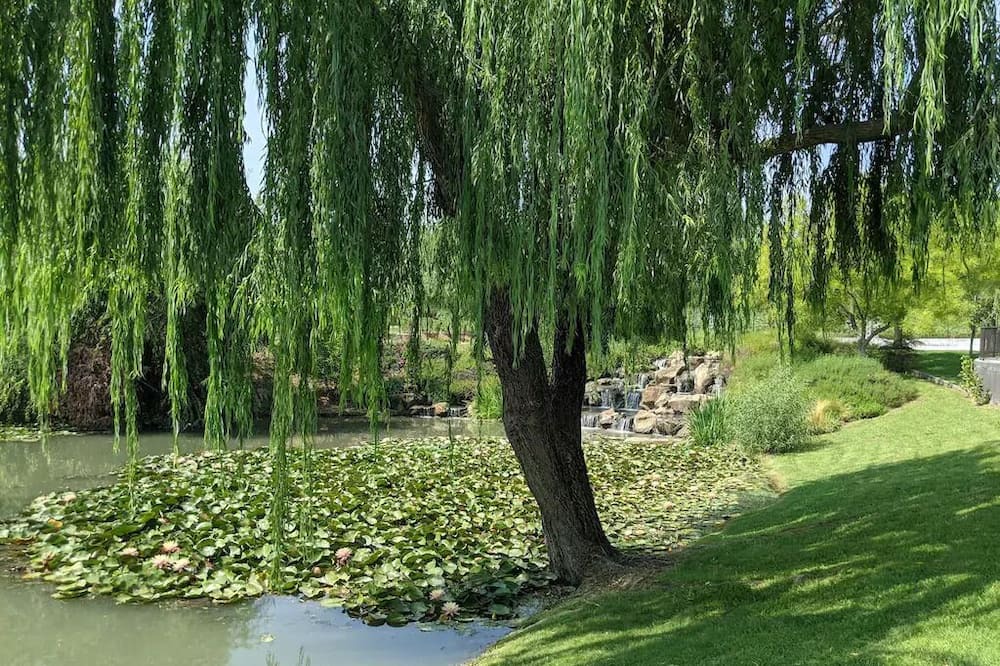 Photo of Others in Vacaville