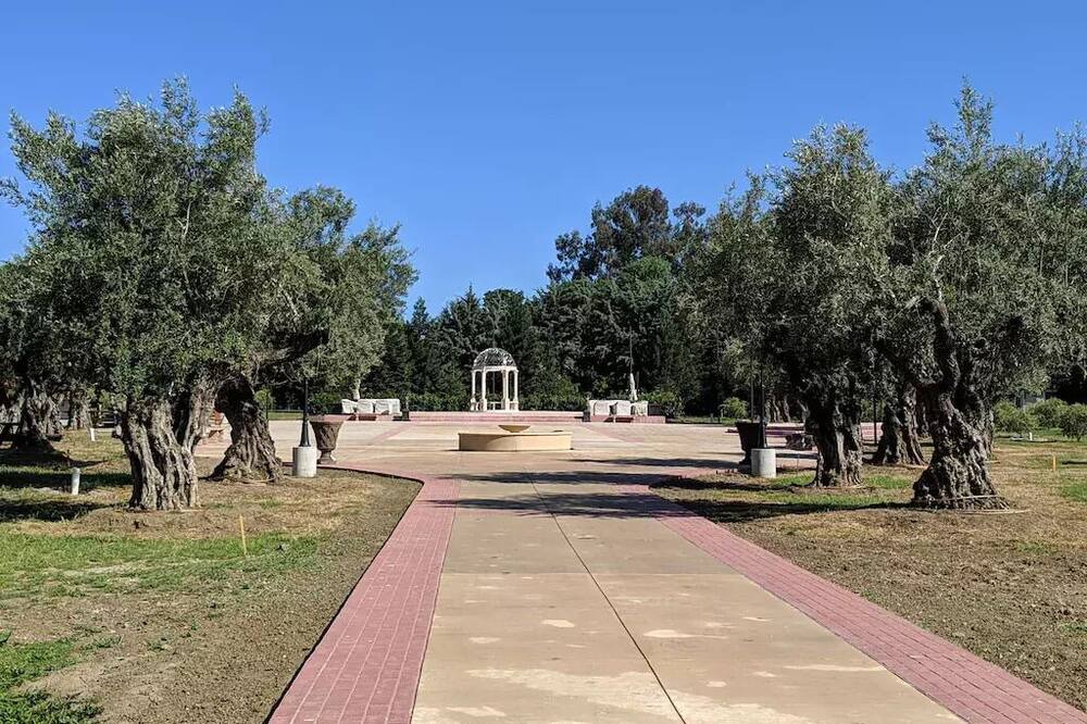 Photo of Others in Vacaville
