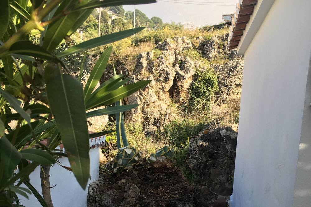 Photo of Outdoor in Competa