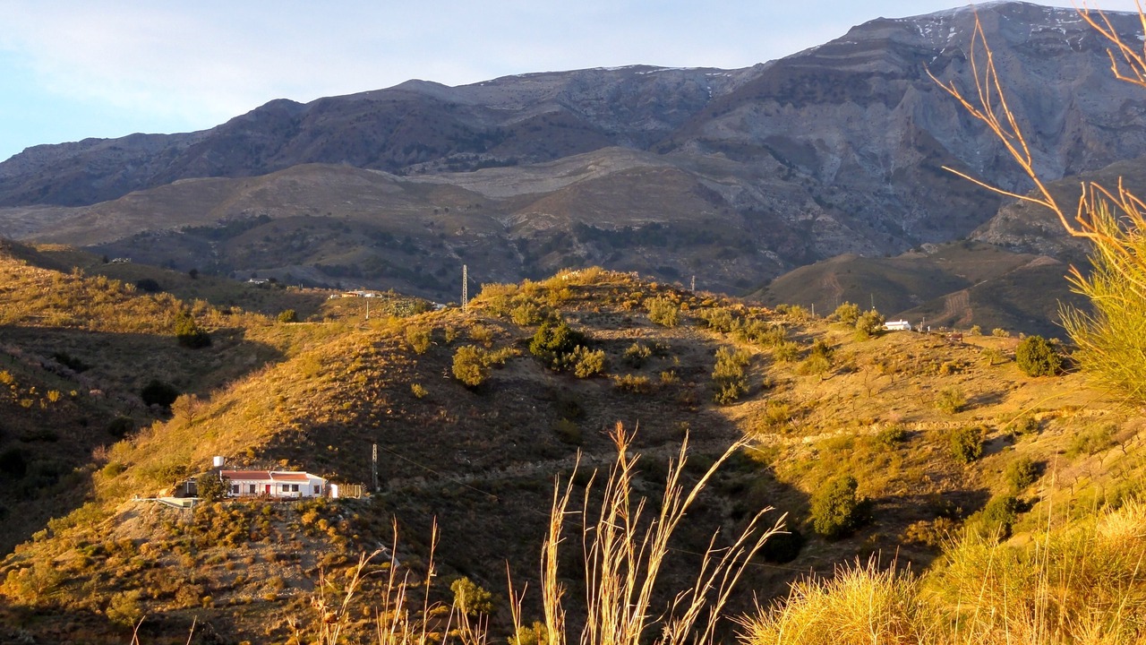 Photo of Outdoor in Sedella