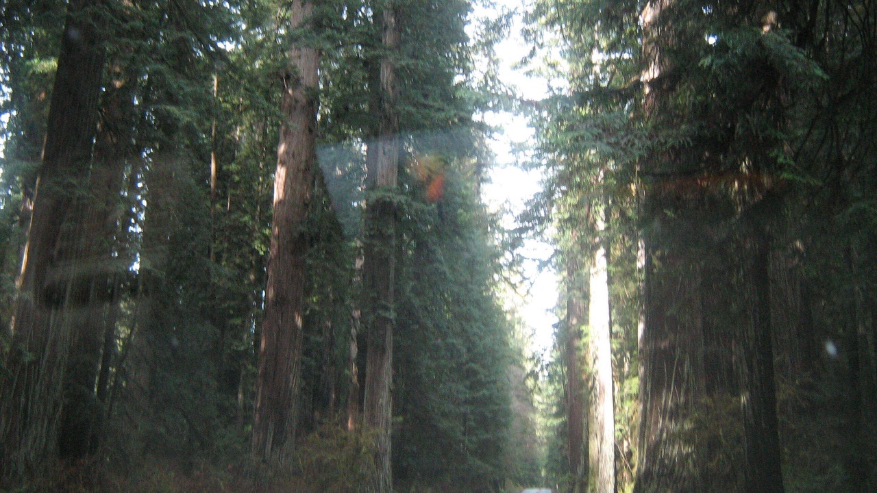 Photo of Outdoor in Bertsch-Oceanview