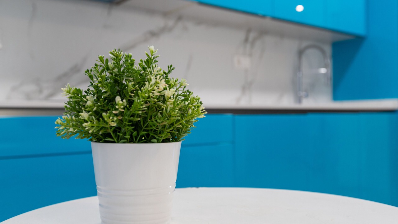 Photo of Kitchen in Ciudad Jardin