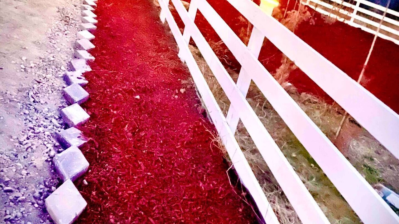 Photo of Outdoor in Hollister