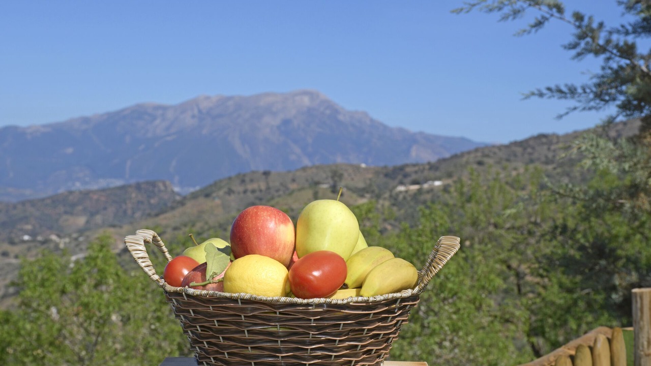 Photo of Others in Comares