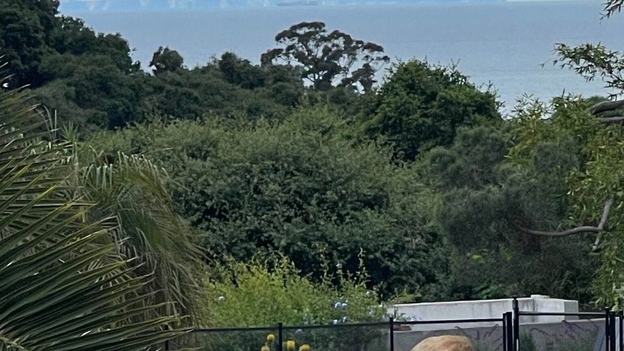 Photo of Others in Eucalyptus Hill
