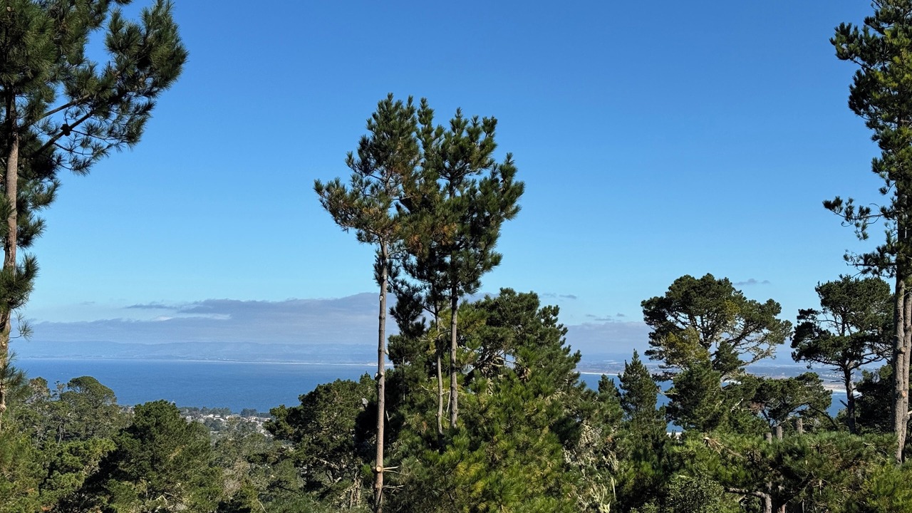 Photo of Others in Monterey