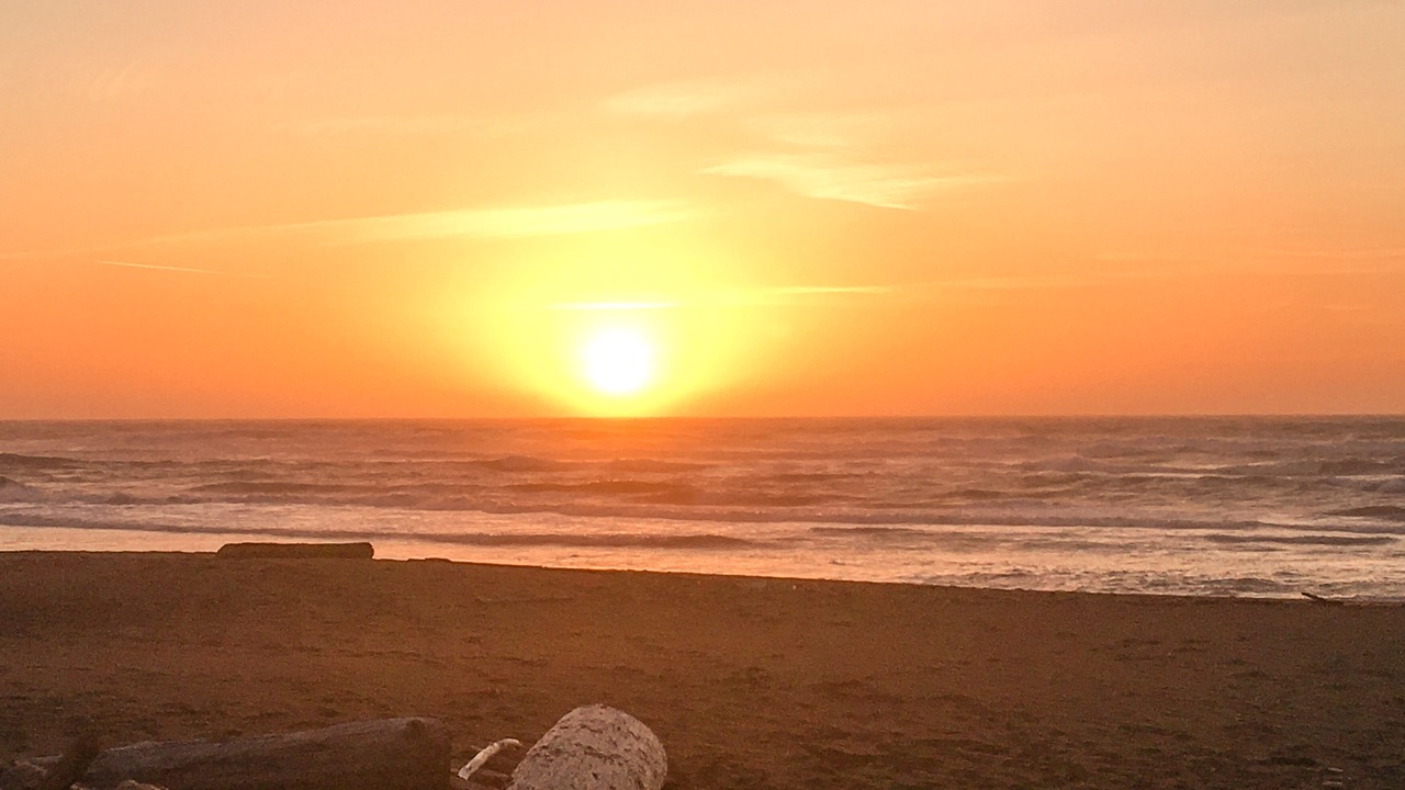Photo of Others in Sea Ranch