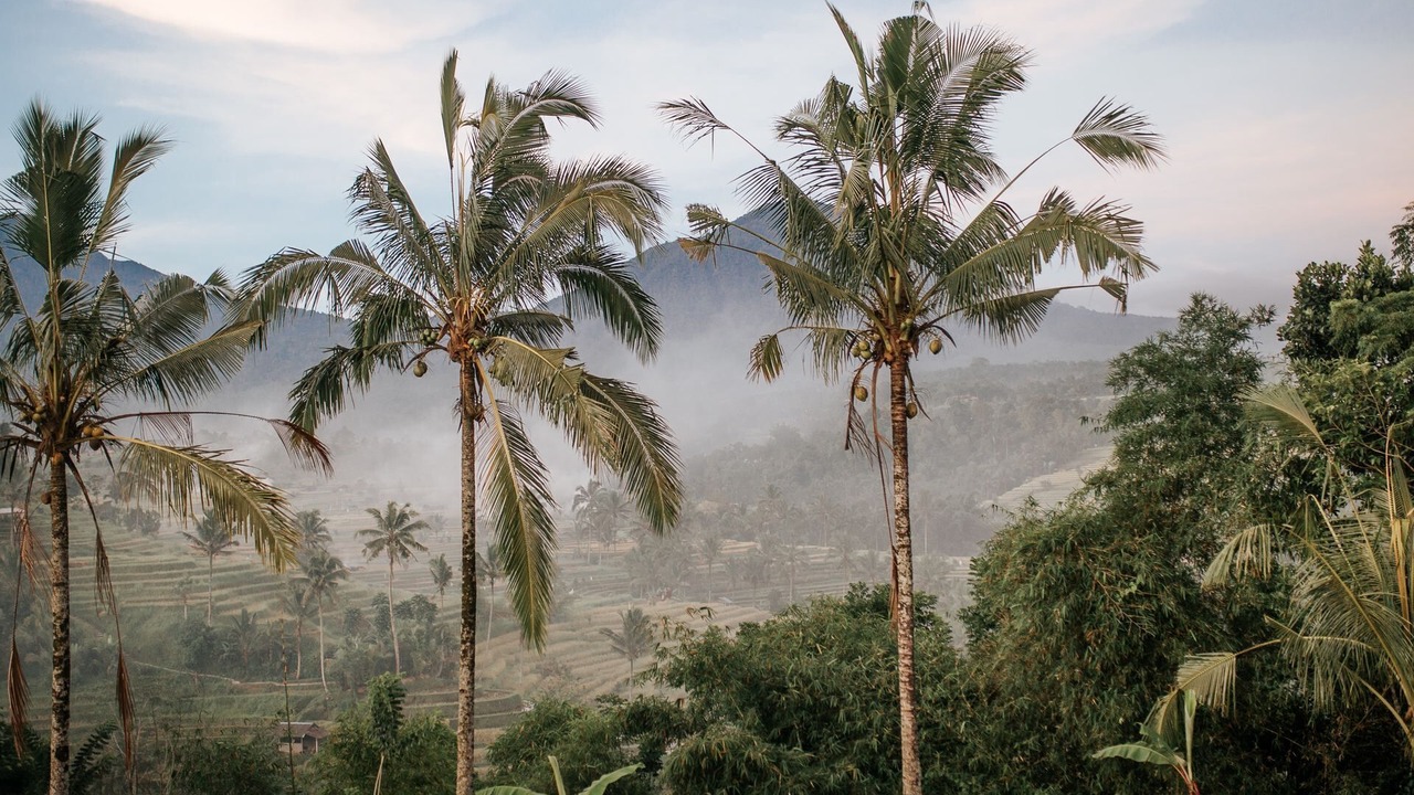 Photo of Outdoor in Umalas