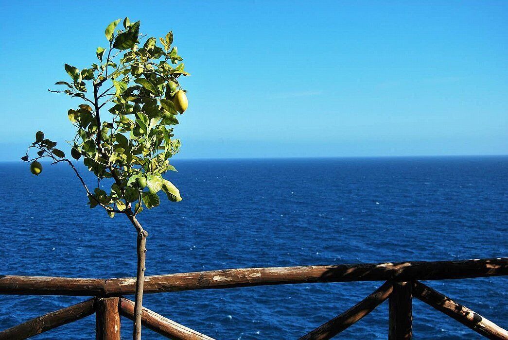Photo of Others in Conca dei Marini