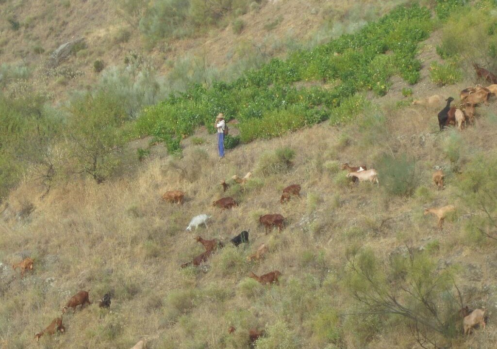 Photo of Outdoor in Vinuela