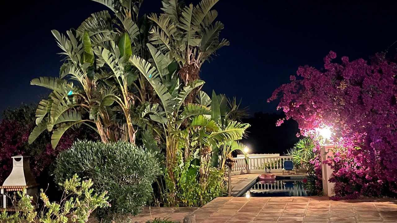 Photo of Outdoor in Arenas