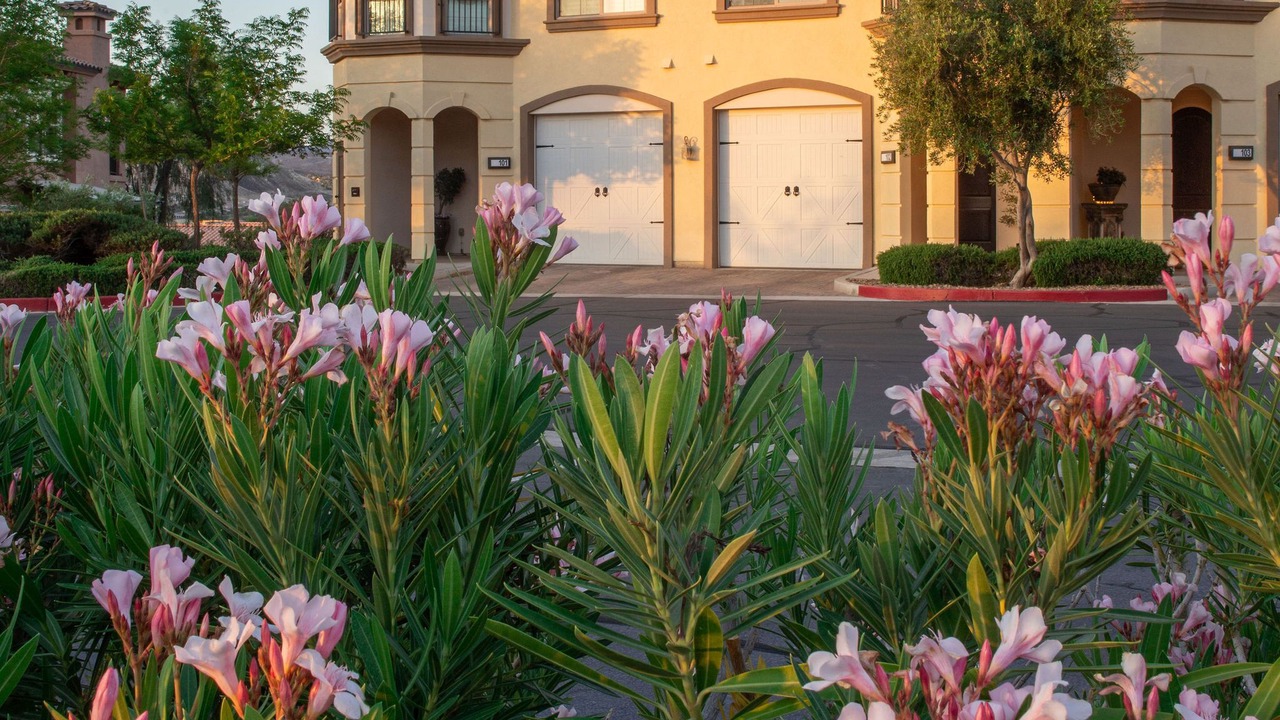 Photo of Outdoor in Lake Las Vegas