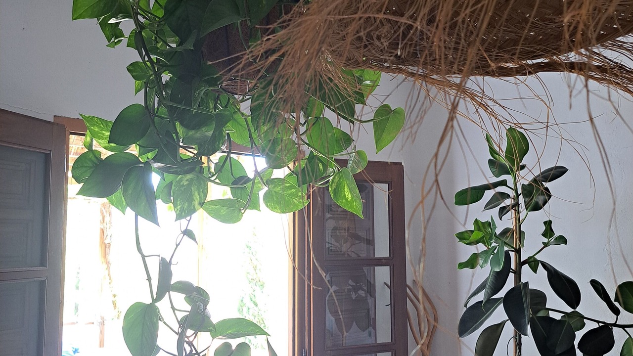 Photo of Others in Vinuela