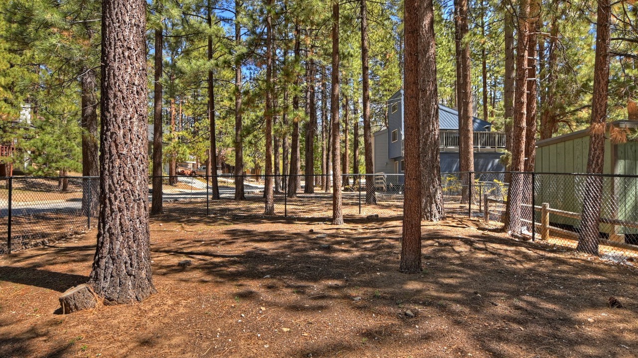 Photo of Others in Big Bear Lake