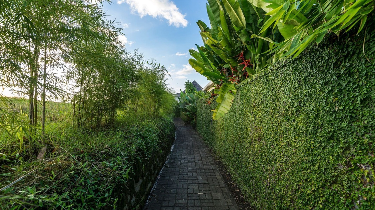 Photo of Outdoor in East Selemadeg