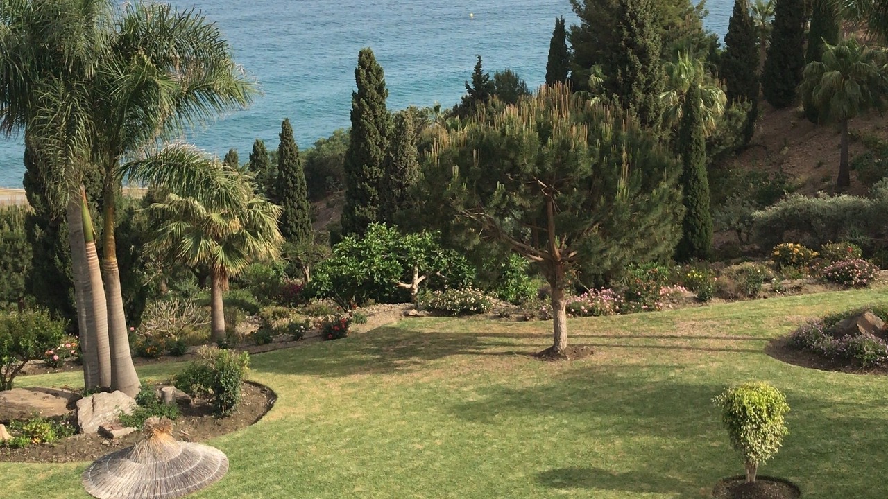 Photo of Outdoor in Torrox Costa