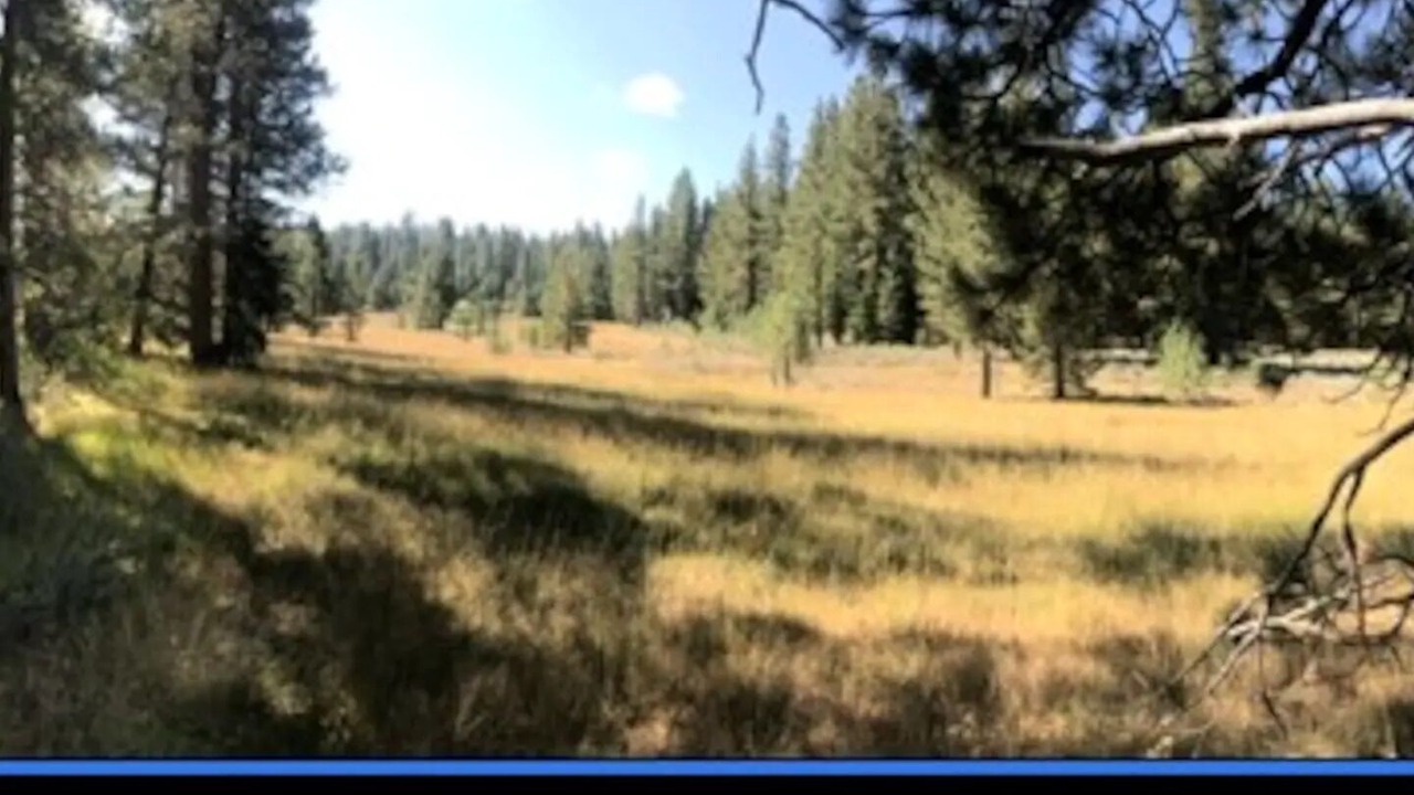 Photo of Others in Pioneer Trail