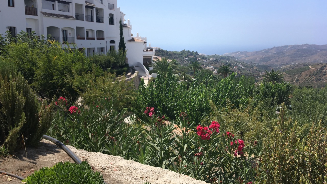 Photo of Others in Frigiliana