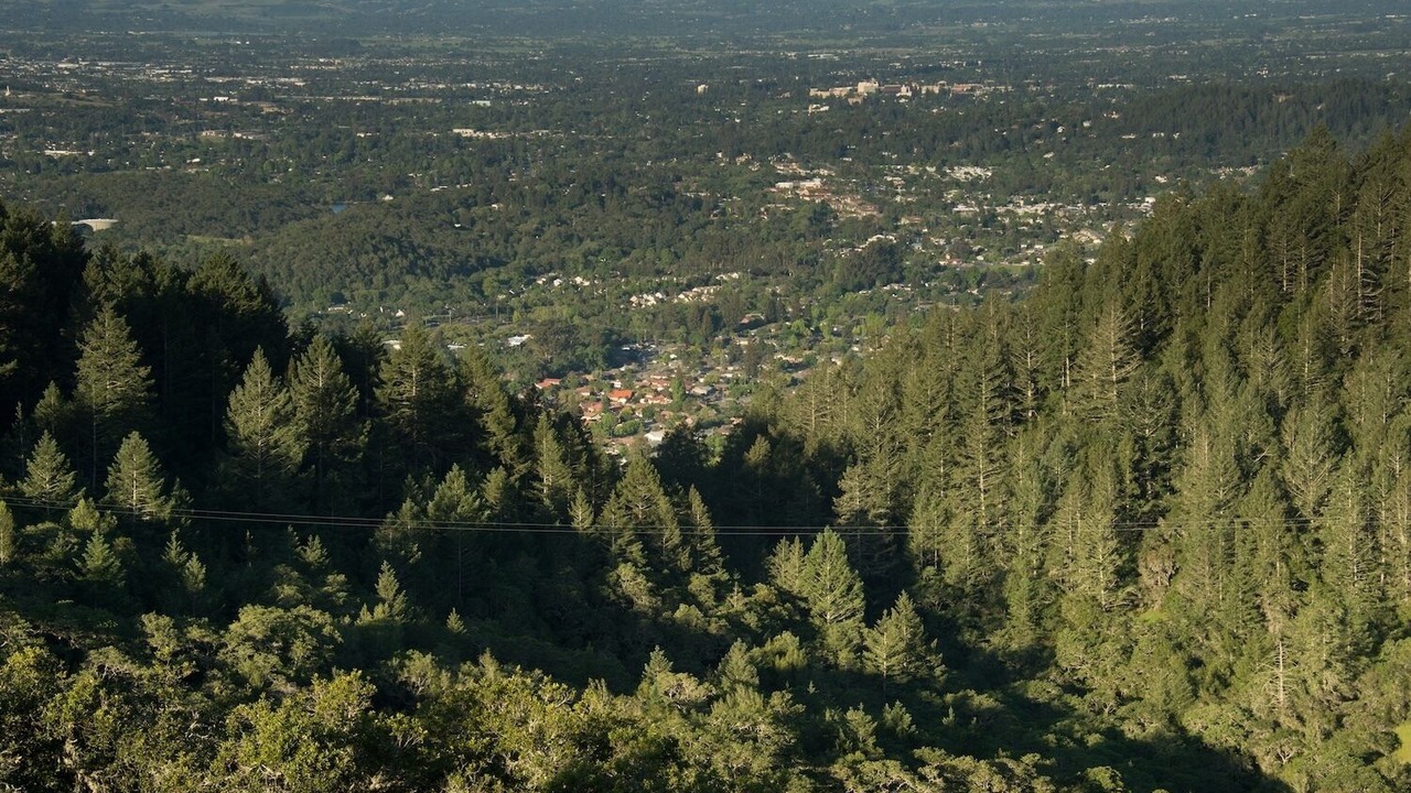 Photo of Others in Santa Rosa