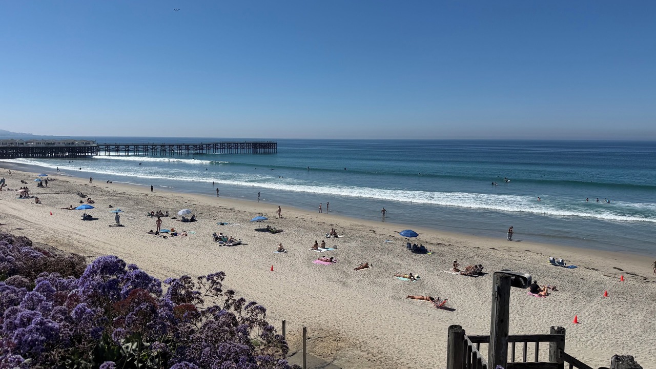 Photo of Others in North Pacific Beach