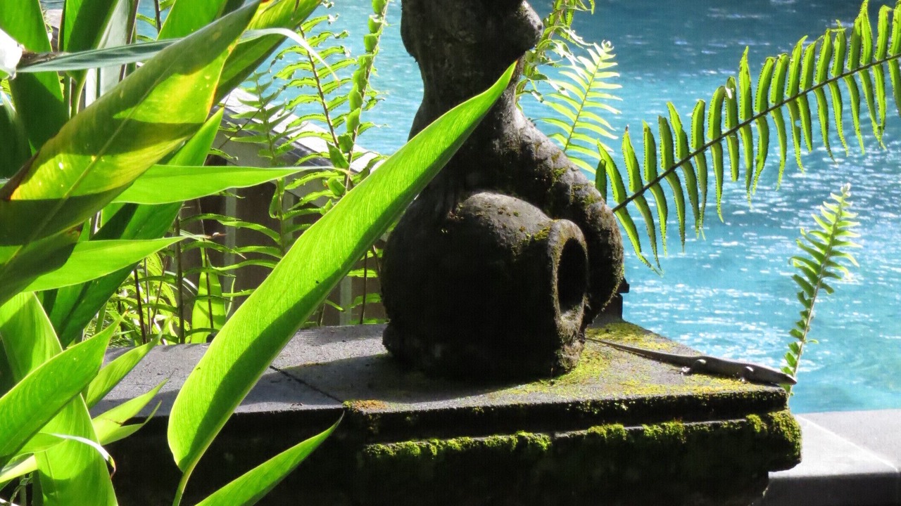 Photo of Outdoor in Kedewatan