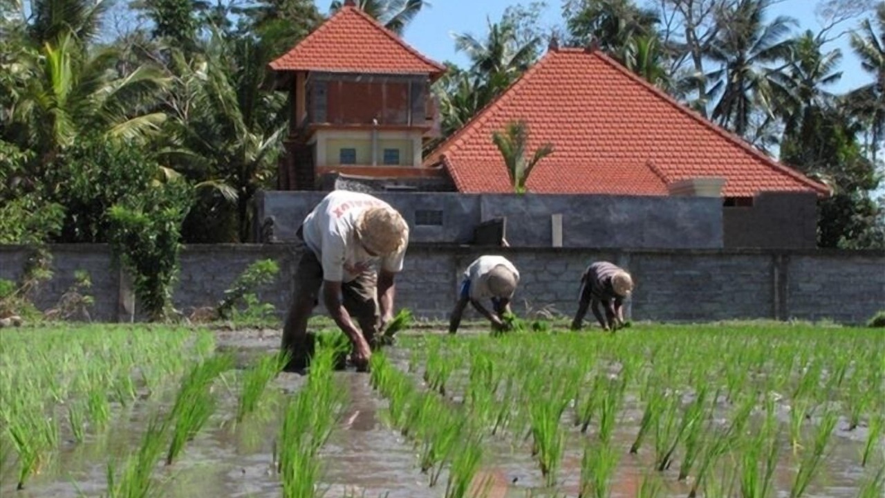 Photo of Others in Kedewatan