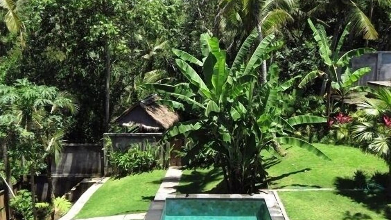 Photo of Outdoor in Kedewatan