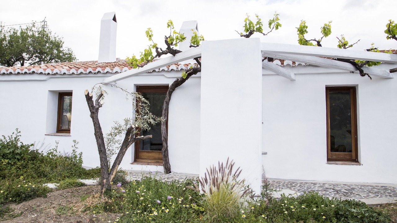 Photo of Outdoor in Torrox