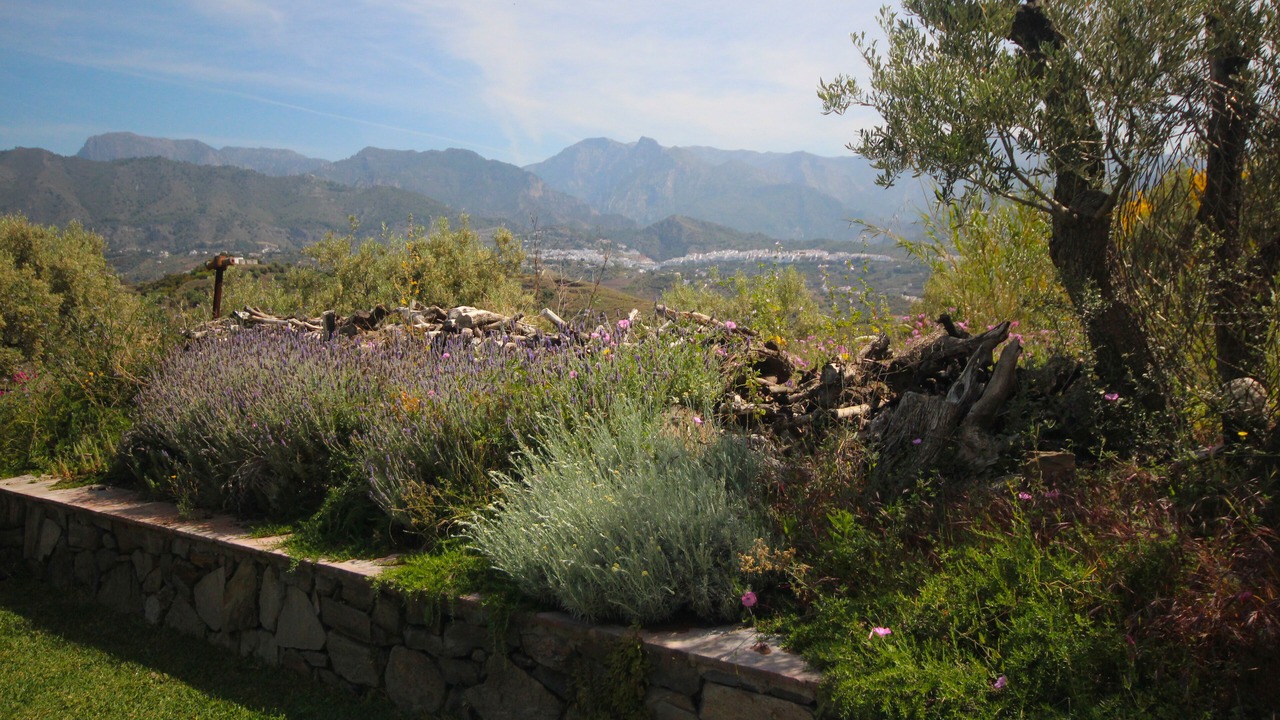 Photo of Others in Torrox