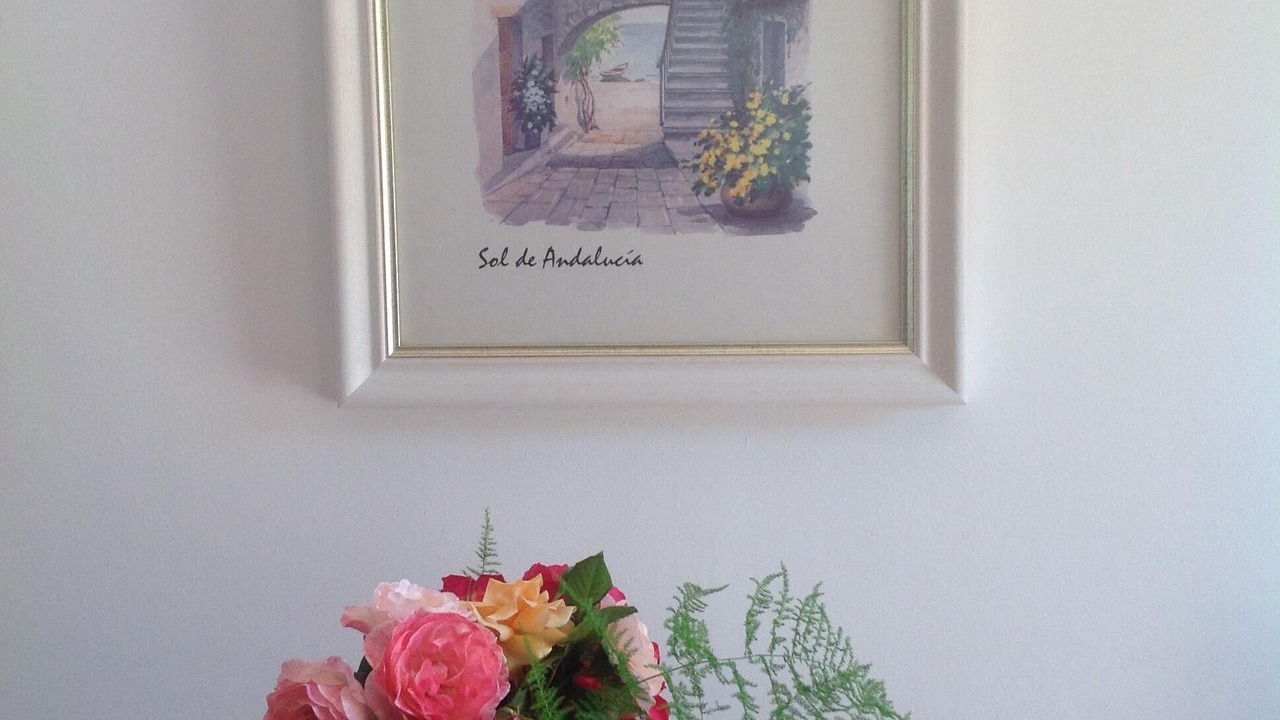Photo of Others in Canillas de Albaida